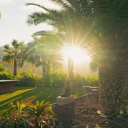 Canaan In Tenerife - Heated Pool, Ocean Views, Palm Garden, Costa Adeje (Tenerife)