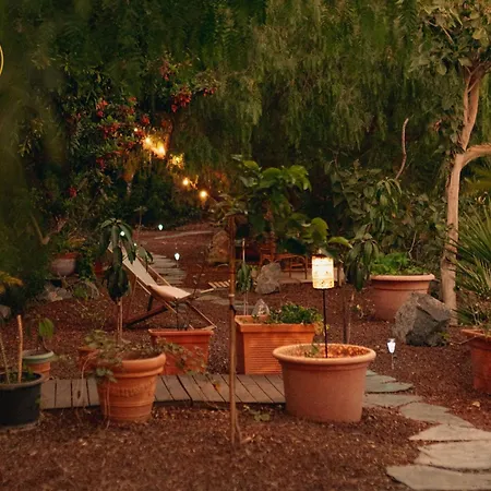 Canaan In Tenerife - Heated Pool, Ocean Views, Palm Garden, דירה *